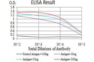 Black line: Control Antigen (100 ng), Purple line: Antigen(10 ng), Blue line: Antigen (50 ng), Red line: Antigen (100 ng), (NOTCH3 抗体  (AA 47-156))