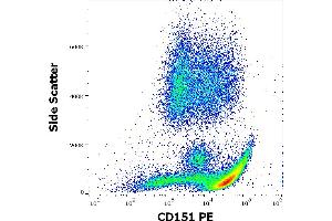 Flow cytometry surface staining pattern of human peripheral whole blood stained using anti-human CD151 (50-6) PE antibody (10 μL reagent / 100 μL of peripheral whole blood).