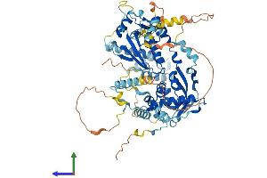 Protein Structure (PS) image for Ecdysoneless Homolog (ECD) (AA 1-644) protein (His tag) (ABIN7553759)