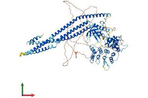 Protein Structure (PS) image for ArfGAP with SH3 Domain, Ankyrin Repeat and PH Domain 3 (ASAP3) (AA 1-903) protein (His tag) (ABIN7552448)