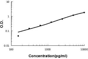 Sandwich ELISA - Recombinant human Tryptase/TPSAB1,B2 protein standard curve. (TPSAB1 抗体  (AA 65-275))