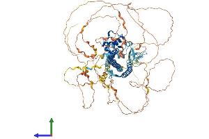 Protein Structure (PS) image for MICAL-Like 1 (MICALL1) (AA 1-870) protein (His tag) (ABIN7564343)