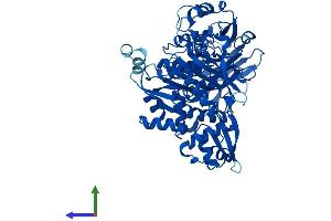 Protein Structure (PS) image for Phenylalanyl-tRNA Synthetase, beta Subunit (FARSB) (AA 1-589) protein (His tag) (ABIN7556269)