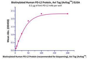 Binding Studies (Bind) image for Programmed Cell Death 1 Ligand 2 (PDCD1LG2) (AA 20-219) (Active) protein (His tag,AVI tag,Biotin) (ABIN2870560)