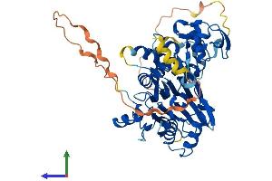 Protein Structure (PS) image for Protein Phosphatase 1J (PPM1J) (AA 1-505) protein (His tag) (ABIN7550865)