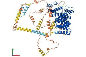 AlphaFold protein structure predicition of Mouse Recombinant Pex5 Protein, UniprotID O09012