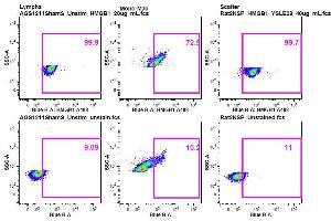 Ab staining on AGS & Rat cells, Panel 3 - HMGB1 A488 (HMGB1 抗体  (AA 75-170) (Alexa Fluor 488))