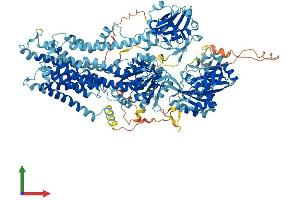Protein Structure (PS) image for ATPase, Aminophospholipid Transporter, Class I, Type 8B, Member 2 (ATP8B2) (AA 1-1209) protein (His tag) (ABIN7552460)