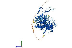 Protein Structure (PS) image for Cytidine Monophosphate N-Acetylneuraminic Acid Synthetase (CMAS) (AA 1-434) protein (His tag) (ABIN7549784)