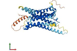 Protein Structure (PS) image for Melanocortin 4 Receptor (MC4R) (AA 1-332) protein (His tag) (ABIN7549277)