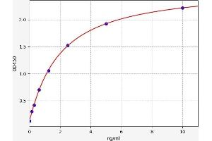 Typical standard curve (OGG1 ELISA 试剂盒)