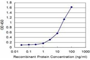 Detection limit for recombinant GST tagged FTL is approximately 1ng/ml as a capture antibody. (FTL 抗体)
