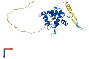 Speedy Homolog E4 (SPDYE4) (AA 1-237) protein (His tag)