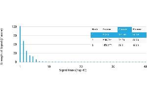 Protein Array (PAr) image for anti-Aquaporin 4 (AQP4) antibody (ABIN7456104)