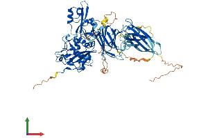 Protein Structure (PS) image for Calpain 10 (CAPN10) (AA 1-666) protein (His tag) (ABIN7561471)