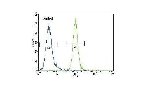 EN Antibody (Center) (ABIN650746 and ABIN2839471) flow cytometric analysis of MDA-M cells (right histogram) compared to a negative control cell (left histogram). (ENPP2 抗体  (AA 377-406))