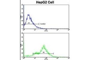 Flow Cytometry (FACS) image for anti-Carcinoembryonic Antigen-Related Cell Adhesion Molecule 5 (CEACAM5) (AA 50-77), (N-Term) antibody (ABIN391544)