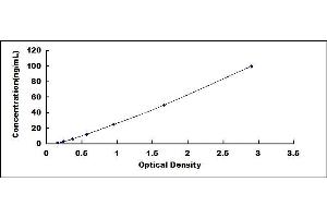 Typical standard curve (PRKAA1 ELISA 试剂盒)