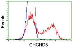 Image no. 4 for anti-Coiled-Coil-Helix-Coiled-Coil-Helix Domain Containing 5 (CHCHD5) (AA 1-110) antibody (ABIN1490560) (CHCHD5 抗体  (AA 1-110))