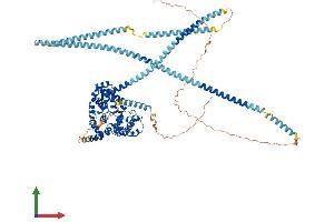 Protein Structure (PS) image for Ecotropic Viral Integration Site 5-Like (EVI5L) (AA 1-794) protein (His tag) (ABIN7547485)