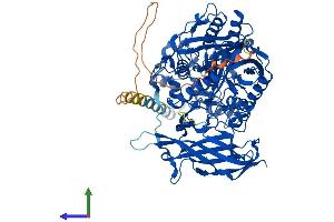 Protein Structure (PS) image for N-Acylsphingosine Amidohydrolase (Non-Lysosomal Ceramidase) 2 (ASAH2) (AA 1-780) protein (His tag) (ABIN7552361)