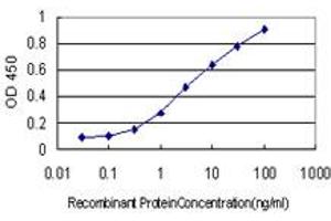 Detection limit for recombinant GST tagged FOXR2 is approximately 0. (FOXR2 抗体  (AA 1-311))