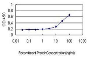 Detection limit for recombinant GST tagged LMO3 is approximately 3ng/ml as a capture antibody. (LMO3 抗体  (AA 91-146))