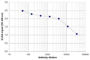 ELISA of anti-ZBTB38 antibody ELISA results of Rabbit anti-ZBTB38 antibody. (ZBTB38 抗体  (C-Term))