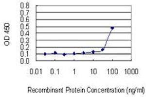 Detection limit for recombinant GST tagged RASD2 is 10 ng/ml as a capture antibody. (RASD2 抗体  (AA 1-266))