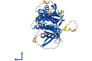Protein Structure (PS) image for Sorting Nexin 17 (SNX17) (AA 1-470) protein (His tag) (ABIN7558932)