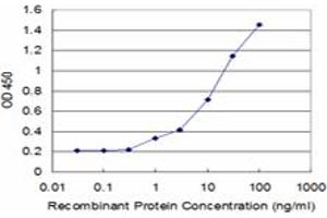 Detection limit for recombinant GST tagged DCK is approximately 1ng/ml as a capture antibody. (DCK 抗体  (AA 161-260))