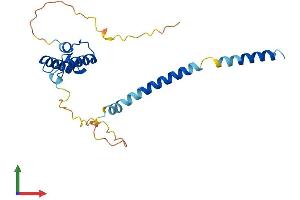 Protein Structure (PS) image for DnaJ (Hsp40) Homolog, Subfamily C, Member 30 (DNAJC30) (AA 1-219) protein (His tag) (ABIN7556534)