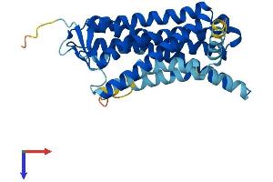 AlphaFold protein structure predicition of Human Recombinant OR5G3 Protein, UniprotID P0C626 (OR5G3 Protein (AA 1-314) (His tag))