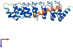 Protein Structure (PS) image for Ankyrin Repeat Domain 19, Pseudogene (ANKRD19P) (AA 1-264) protein (His tag) (ABIN7552284)