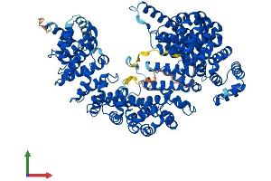 AlphaFold protein structure predicition of Mouse Recombinant Tnpo1 Protein, UniprotID Q8BFY9