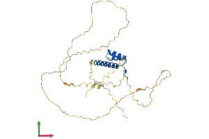 Protein Structure (PS) image for NK3 Homeobox 2 (NKX3-2) (AA 1-333) protein (His tag) (ABIN7549740)