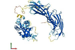 AlphaFold protein structure predicition of Mouse Recombinant Ap5m1 Protein, UniprotID Q8BJ63