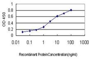 Detection limit for recombinant GST tagged NODAL is approximately 0. (Nodal 抗体  (AA 275-346))