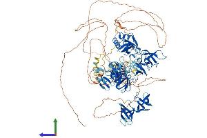 Protein Structure (PS) image for Transcription Elongation Factor SPT5 (SUPT5H) (AA 1-1087) protein (His tag) (ABIN7555625)