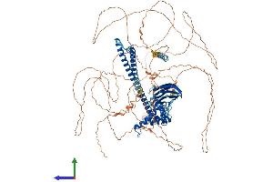 AlphaFold protein structure predicition of Mouse Recombinant Caprin2 Protein, UniprotID Q05A80 (CAPRIN2 Protein (AA 1-1031) (His tag))