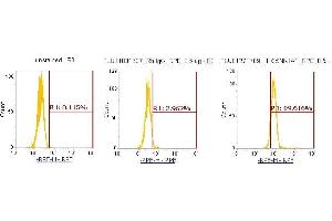 Flow Cytometry (FACS) image for anti-Casein Kinase 1, alpha 1 (CSNK1A1) (AA 1-337) antibody (PE) (ABIN5565054)