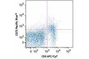 Flow Cytometry (FACS) image for anti-5'-Nucleotidase, Ecto (CD73) (NT5E) antibody (Pacific Blue) (ABIN2662306) (CD73 抗体  (Pacific Blue))
