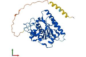 Protein Structure (PS) image for UDP-Gal:betaGlcNAc beta 1,3-Galactosyltransferase, Polypeptide 1 (B3GALT1) (AA 1-326) protein (His tag) (ABIN7562438)
