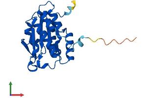 Protein Structure (PS) image for Isochorismatase Domain Containing 2b (ISOC2B) (AA 1-210) protein (His tag) (ABIN7561328)