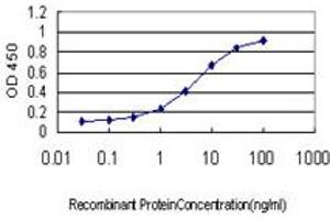 Detection limit for recombinant GST tagged BDKRB2 is approximately 0. (BDKRB2 抗体  (AA 1-60))