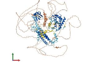 AlphaFold protein structure predicition of Mouse Recombinant Bag6 Protein, UniprotID Q9Z1R2