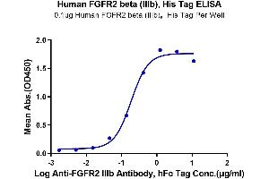 Immobilized Human FGFR2 beta (IIIb) at 1 μg/mL (100 μL/well) on the plate.