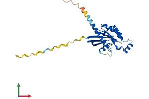 Protein Structure (PS) image for Ras Homolog Gene Family, Member V (RHOV) (AA 1-236) protein (His tag) (ABIN7559873)
