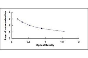 Typical standard curve (Endothelin 2 ELISA 试剂盒)
