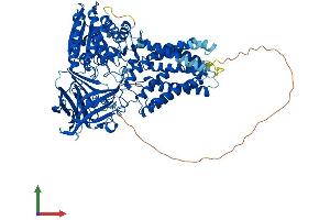 Protein Structure (PS) image for Endoplasmic Reticulum Metallopeptidase 1 (ERMP1) (AA 1-904) protein (His tag) (ABIN7553808)